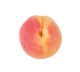 One fresh ripe apricot isolated on white