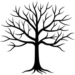 Fototapeta premium vector tree silhouette