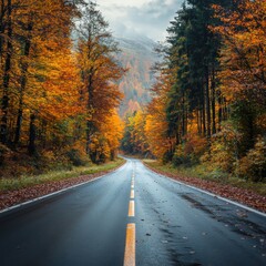 Fototapeta premium autumn road landscape in beautiful nature travel. autumn colors in mountain road scenery. autumn landscape on the highway in colorful forest. nature trip in fall. highway landscape on fall season.