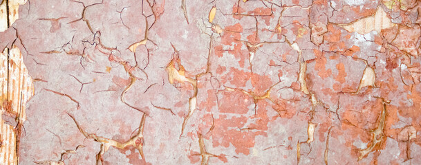 High-resolution texture of red cracked peeling paint on wood. Weathered surface with flakes and deep cracks. Long banner