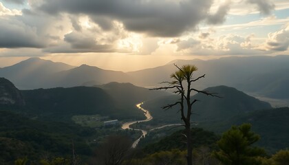 Dramatic Sunset Over a Mountain Valley with Sun Rays and a Lone Tree