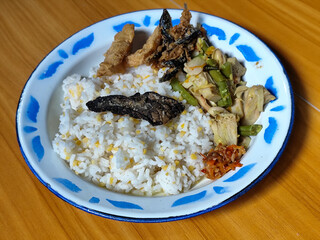 A portion of typical Indonesian mixed rice served on a classic blue and white patterned enamel plate, consisting of corn rice, a piece of dried fish, fried tempeh, stir-fry and chili sauce. Delicious 