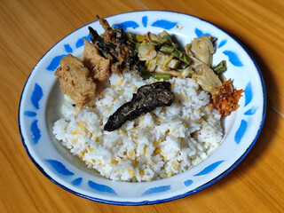 A portion of typical Indonesian mixed rice served on a classic blue and white patterned enamel plate, consisting of corn rice, a piece of dried fish, fried tempeh, stir-fry and chili sauce. Delicious 