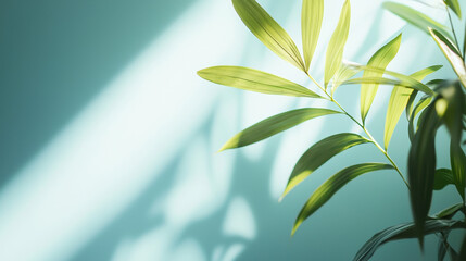 Minimal background, clean colors. 