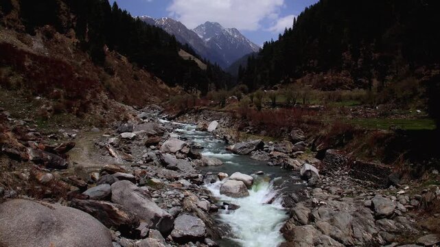 A wide serene video captures the tranquil flow of the Uhl River as it winds through the lush green Rajgundha Valley in Kangra district, Himachal Pradesh.