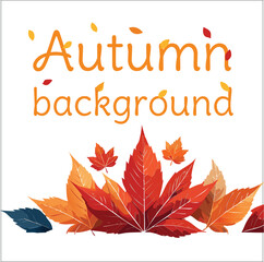 Autumn square backgrounds. Minimalistic style with elements of branches and leaves. Editable vector template for card, banner, invitation, social media post, poster, mobile app, web advertising