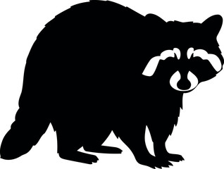 Black silhouette raccoon animal © Collect Silhouettes