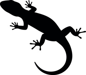 Obraz premium Black gecko silhouette