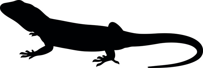 Black lizard silhouette on white background