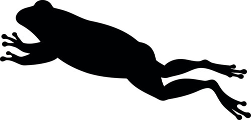 Jumping frog silhouette