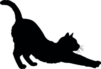 Black cat silhouette stretching
