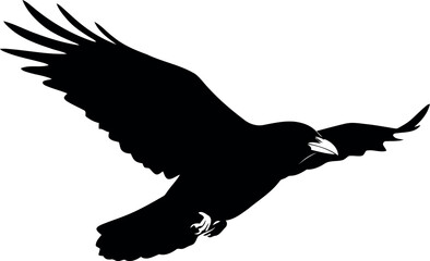 Silhouette of a raven in flight black bird silhouette