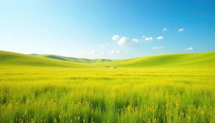 Obraz premium Vast, open field stretching to the horizon under a clear sky Perfect for concepts of freedom, simplicity, and serenity Gentle rolling hills add subtle texture to the scene , open, scenic