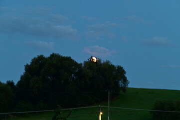 Obraz premium The moon in the night sky and the silhouette of the trees.