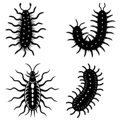 Illustration of four black and white stylized centipedes and millipedes with many legs and segmented bodies