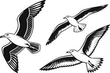 Obraz premium bird, flying, silhouette, vector, animal, eagle, wings, illustration, wing, nature, feather, fly, black, birds, tattoo, seagull, flight, pigeon, wildlife, freedom, hawk, beak, crow, symbol, dove
