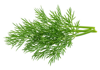 Fresh Dill Sprigs, Isolated