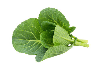 Obraz premium Isolated Fresh Green Collard Greens Bunch with Detailed Texture