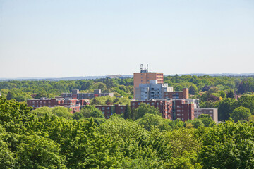 Moderne Wohngebäude mit Wald, Lüneburg,  Niedersachsen, Deutschland