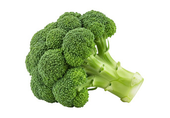 Isolated Fresh Green Broccoli Head Close-up with Detailed Texture