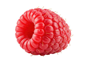 Isolated Close-up of a Fresh Red Raspberry