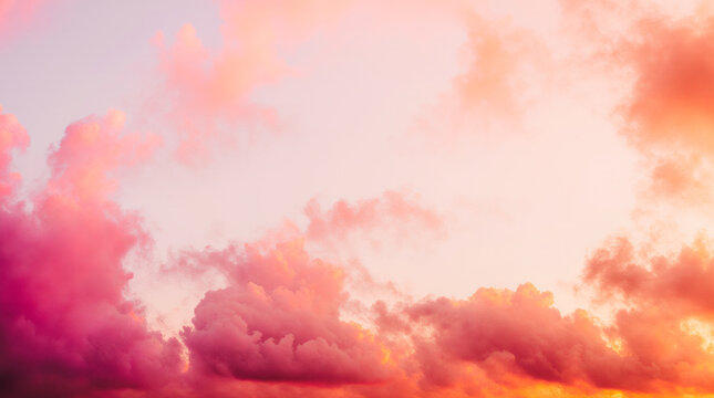 Safari-inspired gradient with untamed energy. Ideal for travel documentaries, outdoor gear, and exotic product lines