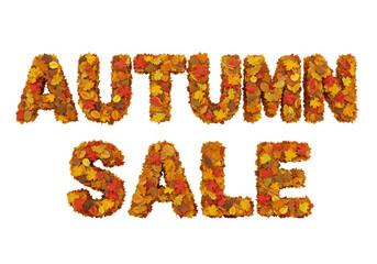 Isolated 'AUTUMN SALE' Text Made of Colorful Fall Leaves for Seasonal Promotion