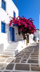 Naklejka premium Whitewashed alleyway with vibrant flowers