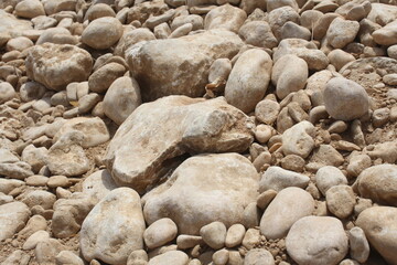 Close-up of a natural ground texture filled with a variety of rounded rocks and pebbles.