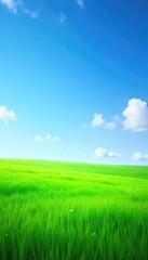 Obraz premium Lush green grass, vibrant and healthy, stretches out under a clear blue sky Perfect for spring, summer, or nature themes Ideal for websites and presentations , garden, organic, field