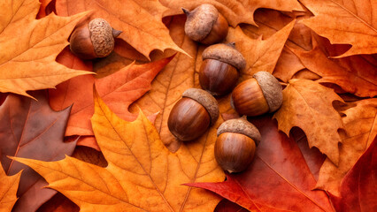 autumn leaves and acorns. acorns and yellow leaves
