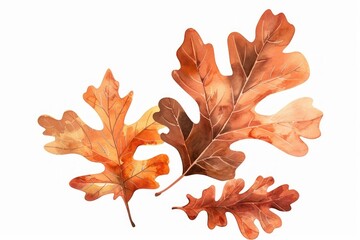 Obraz premium Autumn watercolor oak leaves illustration