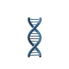 A 3D rendering of a blue DNA double helix structure, symbolizing genetics and biology, set against a white isolated background.