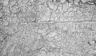 Weathered surface with flakes and deep cracks. Includes color, monochrome and processed versions