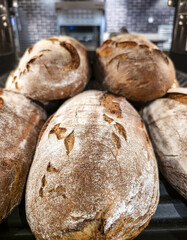 Breads in a bakery