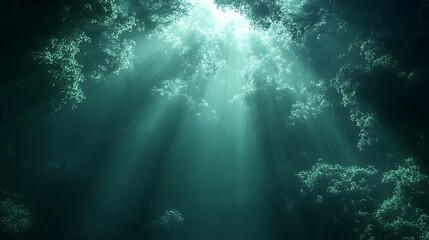 Fototapeta premium Sunlight beams through underwater caverns.