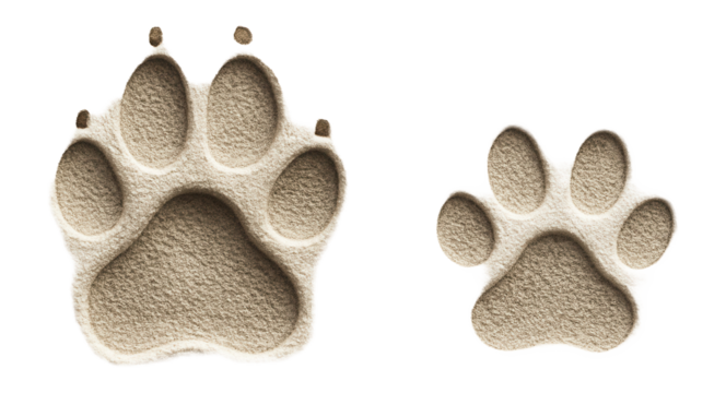 Two realistic sand paw prints of different sizes depicted on a transparent background.
