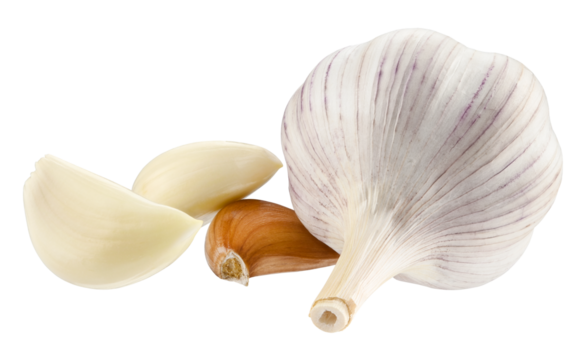 Garlic head and cloves isolated on a transparent background. Full depth of field. PNG.