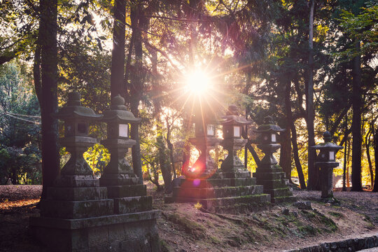Vintage toned view of ancient stone lanterns in Nara Park with sunburst rays through trees and soft lens flares at sunset creating serene and timeless atmosphere - Powered by Adobe