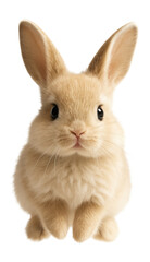 Obraz premium Fluffy beige bunny with large ears and round eyes sitting upright on transparent background.