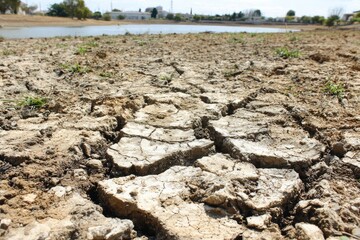 Dried-out cracked earth near a lake