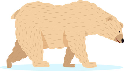 Large brown bear walking across a delicate layer of ice while searching for food, depicted in a simple flat vector illustration on a clean white background