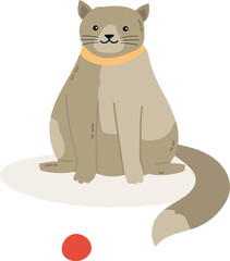 Cartoon illustration featuring a cute gray cat with an orange collar, sitting patiently and eagerly waiting to play with a small red ball, radiating a playful and friendly vibe