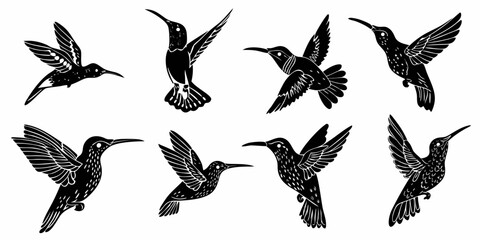 Obraz premium A collection of eight black and white hummingbird illustrations in various flying positions and wing styles | editable eps vectors silhouette