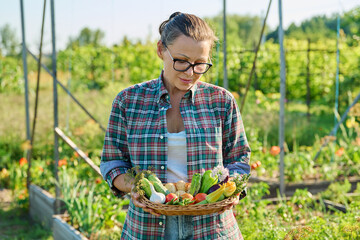 Fototapeta premium Woman with basket with different fresh vegetables herbs, outdoors