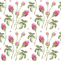 Seamless floral pattern with pink watercolor roses