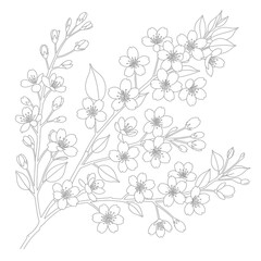 Obraz premium Abstract black and white geometric line art background design