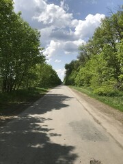 Trees stand on either side, and clouds float across the sky like fluffy lambs, stretching into infinity. This is a place where you can forget about everyday life and enjoy the beauty of nature