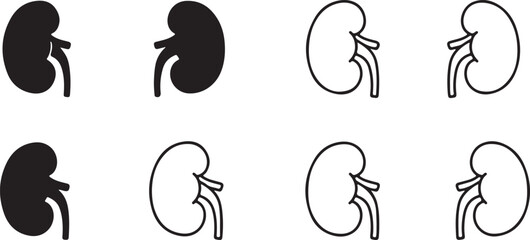 Fototapeta premium Human Kidney Icons in Silhouette and Outline Styles anatomy organ