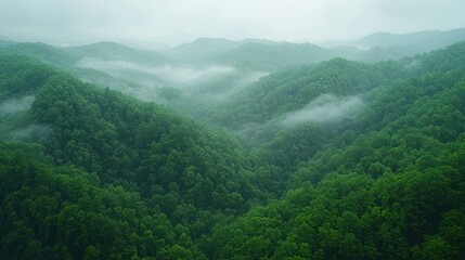 Misty mountain range, lush green forests